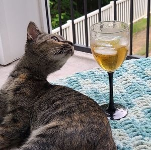 Meet your Posher, Alice